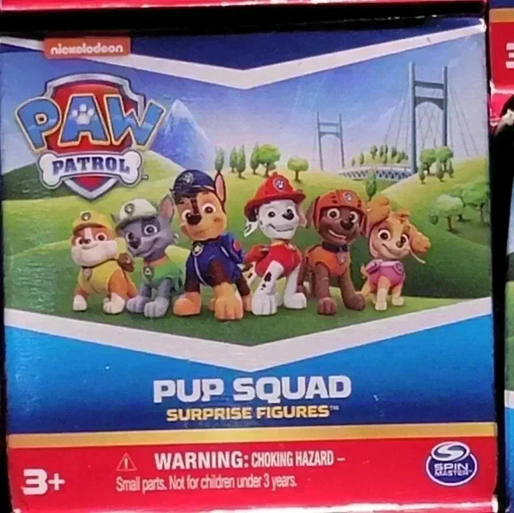 Paw Patrol Pup Squad Surprise Figure X 5 - Picture 3 of 3